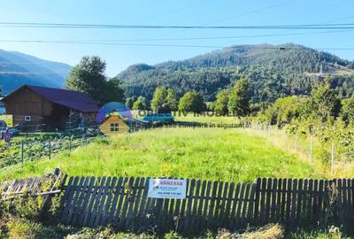 Teren intravilan de 3600 mp, în Prelucă