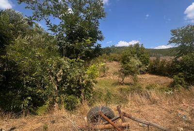 TEREN INTRAVILAN - 2500 MP - Valea Mare- Podgoria - 3