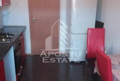 Apartament cu o 1 camera in Zona Calea Sagului - 4