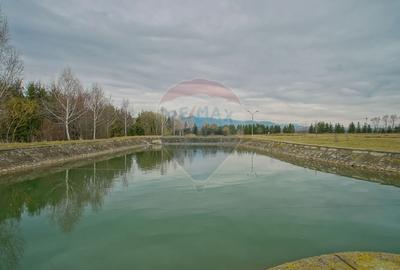 Complex Turistic Panicel, DN73A - 45