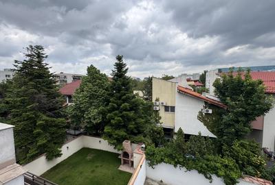 Vila de închiriat Lacul Tei - 3