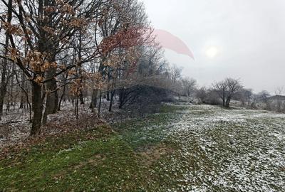 Teren Construcții intravilan de 5700 mp, în Sud-Vest