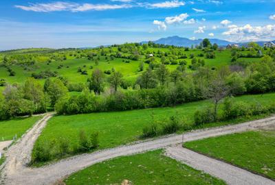 Teren intravilan zona Bran-Tohanita,judetul Brasov loturi intre 500 si 1000 m - 7