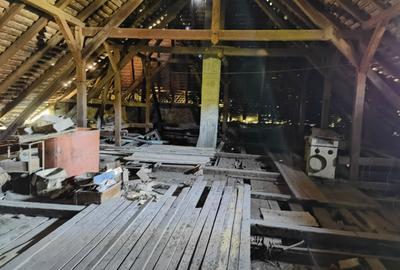 Casa vacanta,investitie  in Gurahont cu teren generos - 14