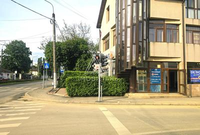 Spațiu comercial Ecaterina Teodoroiu – lângă LIDL - 2