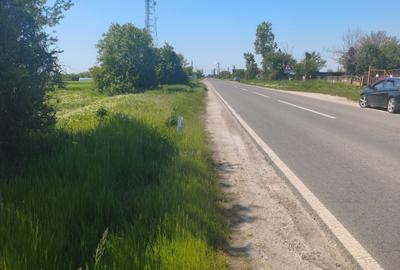 Teren agricol 12.500 mp | Deschidere directă DN61 | Dublu acces | Corbii Mari - 7