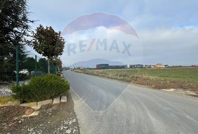 Terenuri 1000 mp- pt.hale, depozite, spatii de productie sau logistica - 1