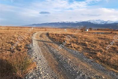 Teren extravilan 8400 mp de vanzare pe Valea Avrigului - 4