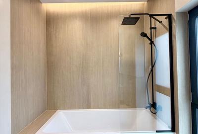 PROIECT DEOSEBIT ZONA LIPOVEI - 16
