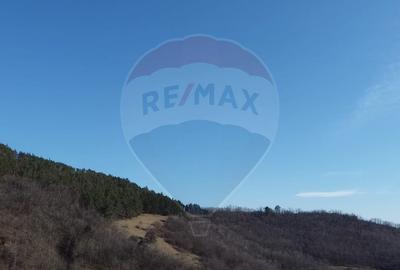 Teren extravilan 4.700 mp în Laz (Vintu de Jos) | Zonă liniștită - 1