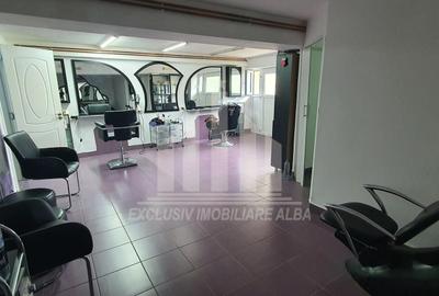 Casa individuala | 320 mp | 750 mp teren | Toate utilitatile | Cetate - 8