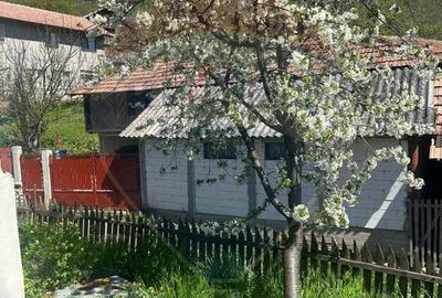 Casa bunicilor, cu gradina, Lera, Buzau! - 19