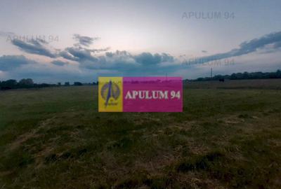 Teren aproape de Bucuresti langa padure - 16