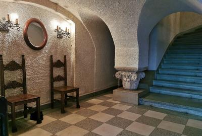 Vila Dorobanti capitale Mauro Florentin - 13