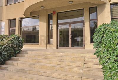 Zero comision, 210-220mp birou Grozavesti, parcare, metrou 1 minut - 14