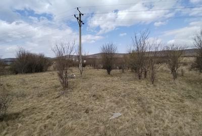 Teren de vanzare, 1.3HA., utilitati, acces din DN - 3
