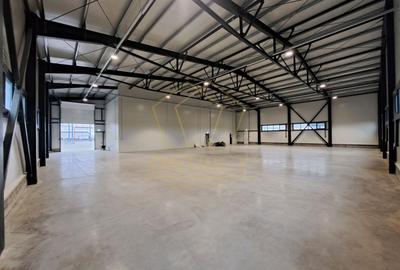 COM 0% Hale servicii, birouri și depozitare de inchiriat  | Giarmata-Vii - 1