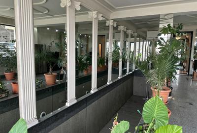 Reședință exclusivistă pe malul lacului - Exclusive Residence on the Lakefront - 28