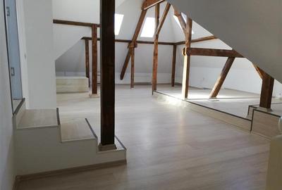 Vila deosebita de inchiriat, pentru birouri - 640 mp - 30