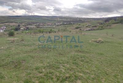 Comision 0! teren intravilan 5500mp, utilitati,  zona, strazii Veseliei Borhanci - 4