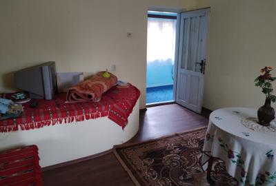 Casa cu teren -  central Segarcea - 9