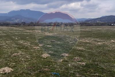 Teren 10,000mp Rasnov / Drumul Panicel - 9