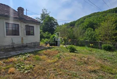 Proprietate formata din 3 imobile, strada Caraiman, nr. 21 Sighisoara - 5