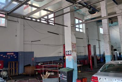 Hala 480mp, zona Complexul Studentesc - 5