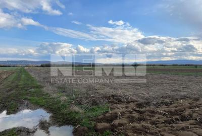 Teren Extravilan | 50 de Ari | Horodnic de Sus - 1