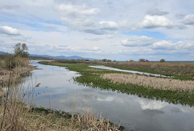 Teren Rotbav  str. Ștefan cel Mare – 3668 mp, intravilan cu deschidere la lac. - 6
