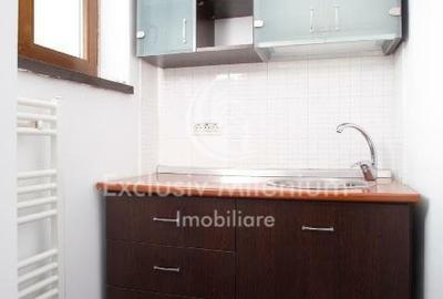 La Vila Birouri Decebal -Piata  Muncii Et 1+M - 14