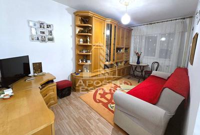 Garsoniera Micalaca Orizont - 3