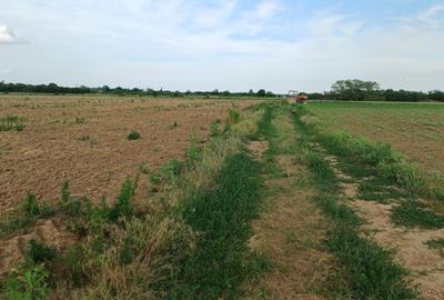 Teren intravilan de vanzare | Peris | 10.000 mp | Investitie sigura - 6