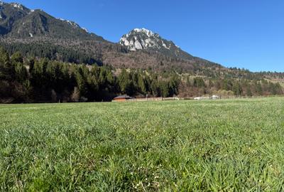 Teren intravilan In Zarnesti zona Plaiul Foii deschidere asfalt si priveliste - 4