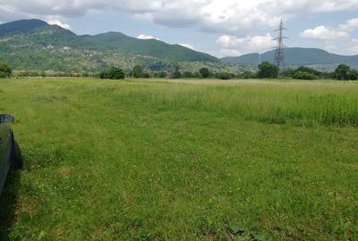 Teren Vaduri, com.Al.cel Bun - 3