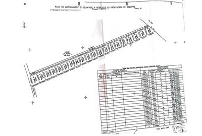 Vanzare teren intravilan Cernica_Tânganu, lot 954mp - 3