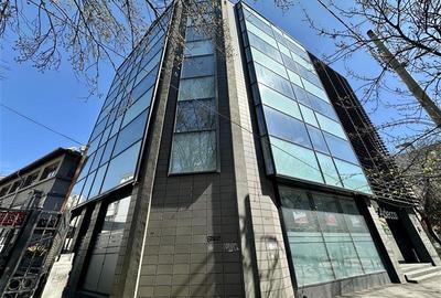 Piata Victoriei | Titulescu | de la 215 mp - 1