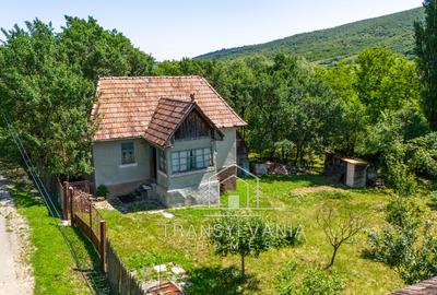 Casă la țară de vânzare în Livada, comuna Petreștii de Jos - 1