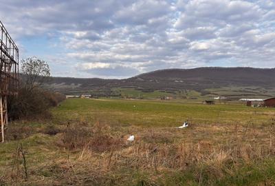 Teren 1.23 ha | DN17 | Șieu-Măgheruș - 1