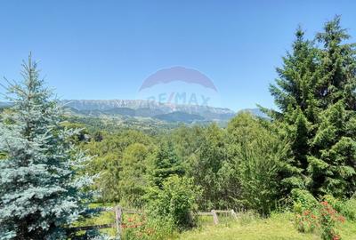 VILA 7 CAMERE| PRIVELISTE PANORAMICA| 725MP TEREN| COMISION 0% - 39