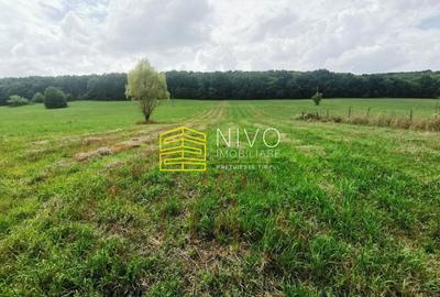 Teren intravilan - Budiu Mic - Str. Principală - 1