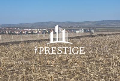 TEREN INTRAVILAN PENTRU CONSTRUCȚIE CASĂ | ȘURA MICĂ | PUZ APROBAT - 4
