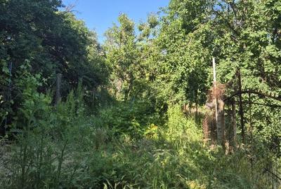 Vand Casa in duplex , curte si gradina proprie, zona Lunei-Printul Turcesc - 11
