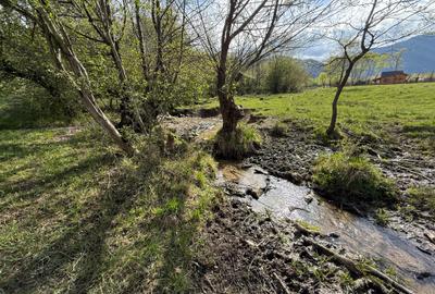 Teren intravilan 500 mp sau 1000 mp în Bran –Tohanita cu parau langa - 6