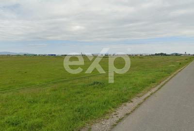 Teren intravilan cu potențial dezvoltare rezidențială în perspectivă - 2