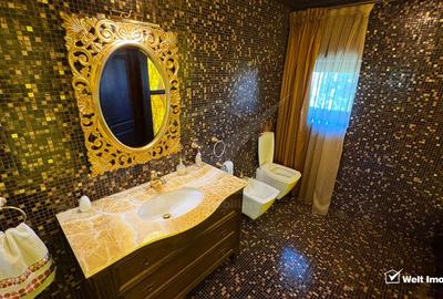 Vila superba in Andrei Muresanu, dotari de lux, piscina si SPA, 865 mp teren ! - 18