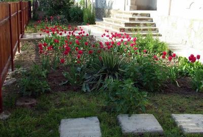 Conac boieresc - 5 camere - Nicolae Balcescu - 105.000 euro (Cod E11) - 16