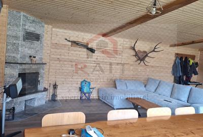 Casa Vacanta Rucar Saticu de Jos Arges - 16