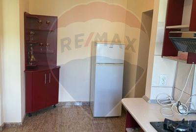 DE INCHIRIAT APARTAMENT LUX  zona Vivo Mall - 10