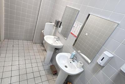 Militari Iuliu Maniu Stradal 91mp Liber Trafic Intens Merita Vazut - 4